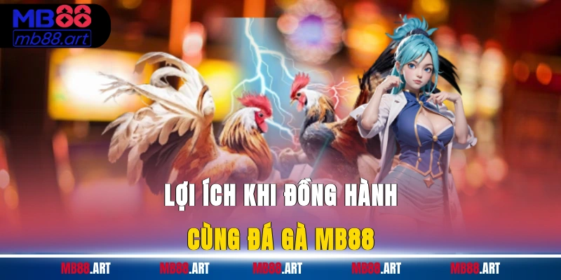 Lợi ích khi đồng hành cùng đá gà MB88